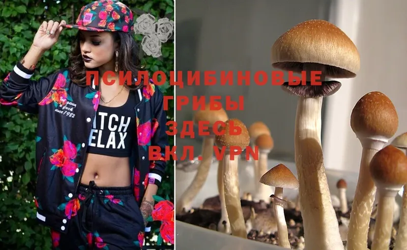 Галлюциногенные грибы MAGIC MUSHROOMS  мега зеркало  Рудня 